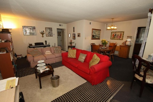 Clean, Kind and Peaceful image 11