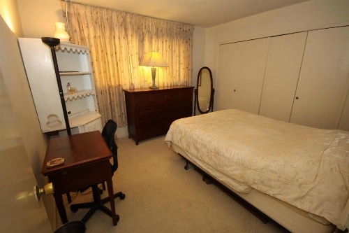 Clean, Kind and Peaceful image 24