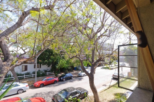 Clean, Kind and Peaceful image 4