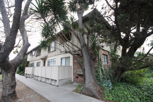 Clean, Kind and Peaceful image 5