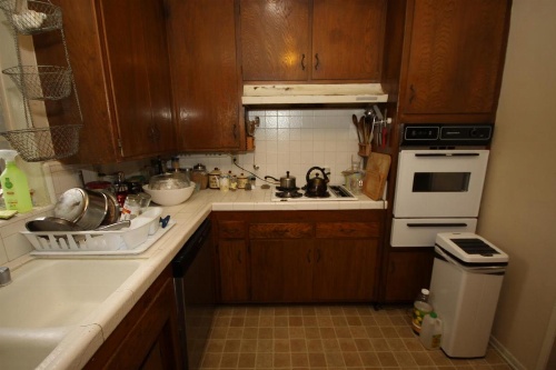 Clean, Kind and Peaceful image 9